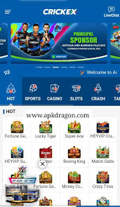 CXWIN Game Download Free Apk