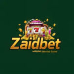 Zaidbet casino game